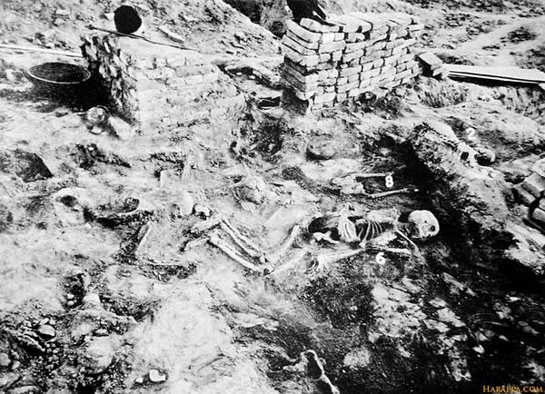 "मोहेंजो-दड़ो कंकाल – Harappan Civilization Archaeological Evidence"