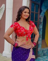 नीलम बिग बॉस 19 कंटेस्टेंट का भोजपुरी डांस